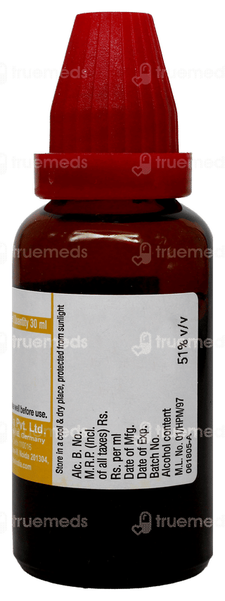 Dr Willmar Schwabe Berberis Vulgaris Q Mother Tincture 30Ml